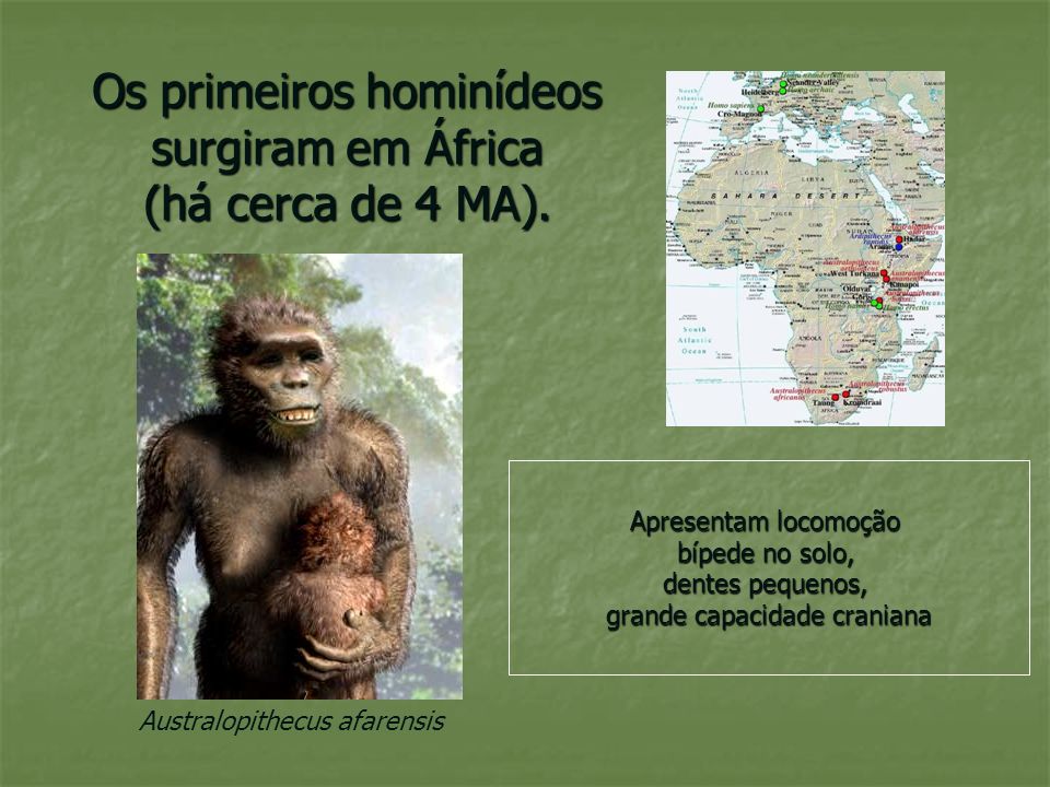 Os primeiros hominídeos surgiram em África (há cerca de 4 MA).