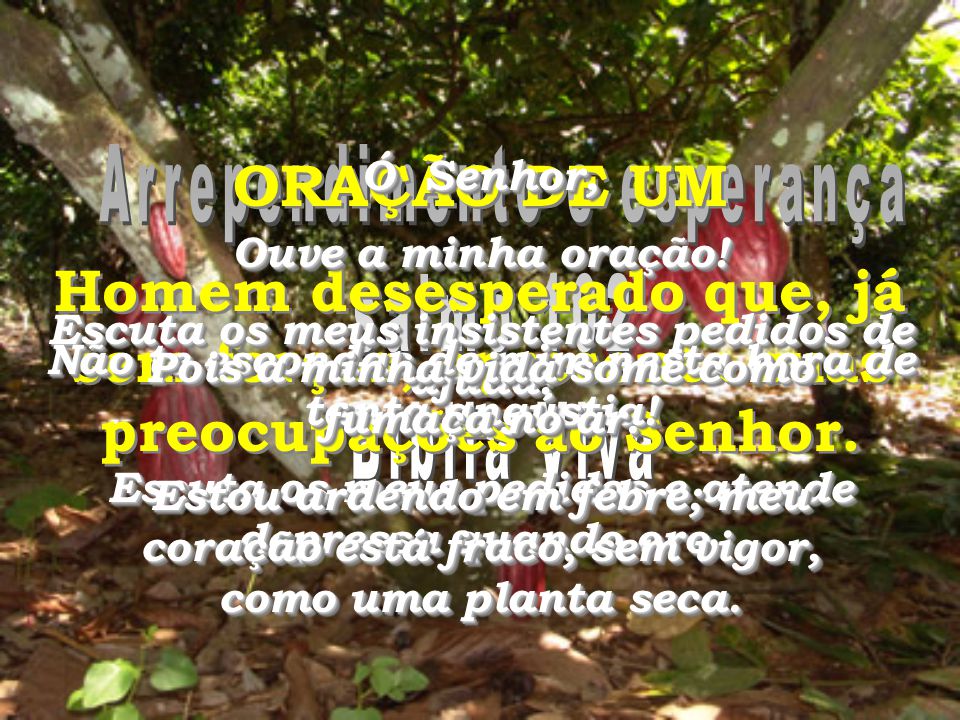 ORAÇÃO DE UM Homem desesperado que, já sem forças, apresenta suas preocupações ao Senhor. Ó Senhor,