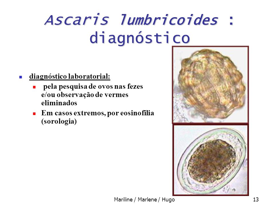 Ascaris lumbricoides : diagnóstico