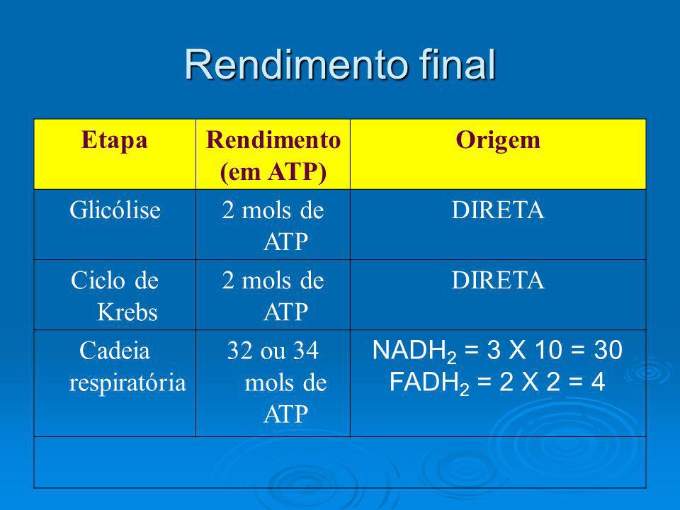 Rendimento final Etapa Rendimento (em ATP) Origem Glicólise