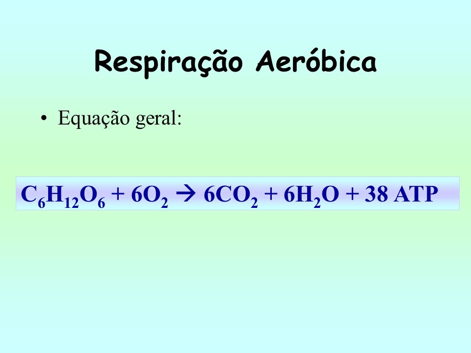 Respiração Aeróbica C6H12O6 + 6O2  6CO2 + 6H2O + 38 ATP
