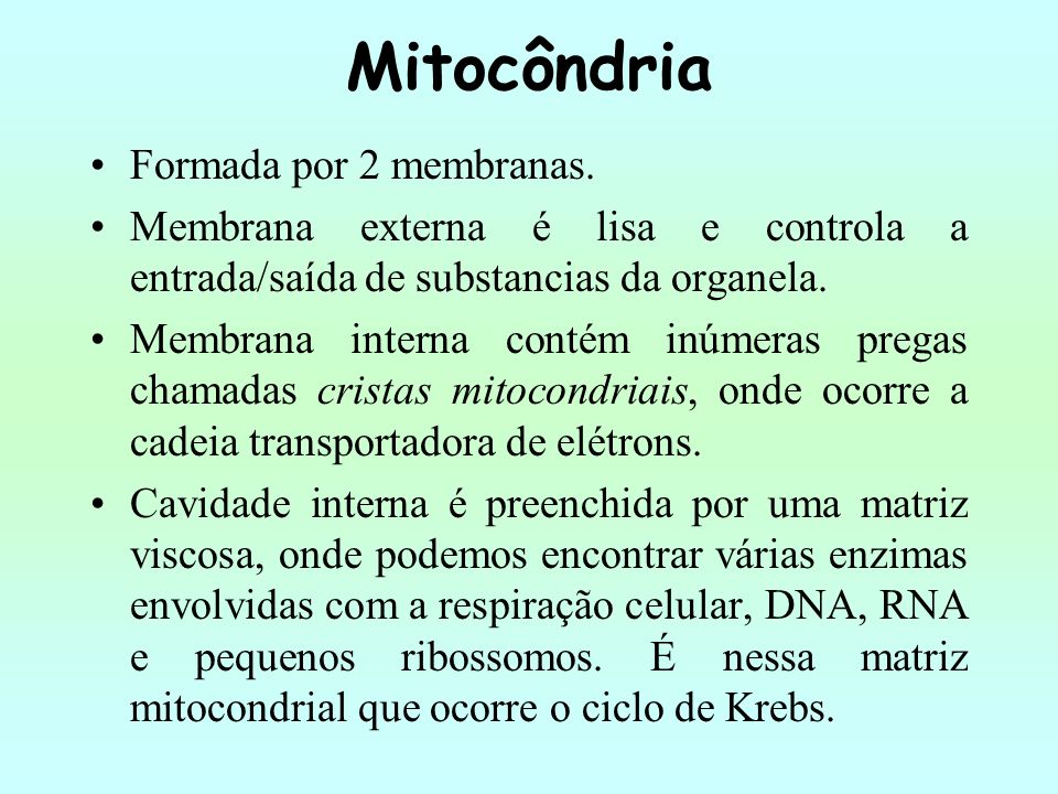 Mitocôndria Formada por 2 membranas.