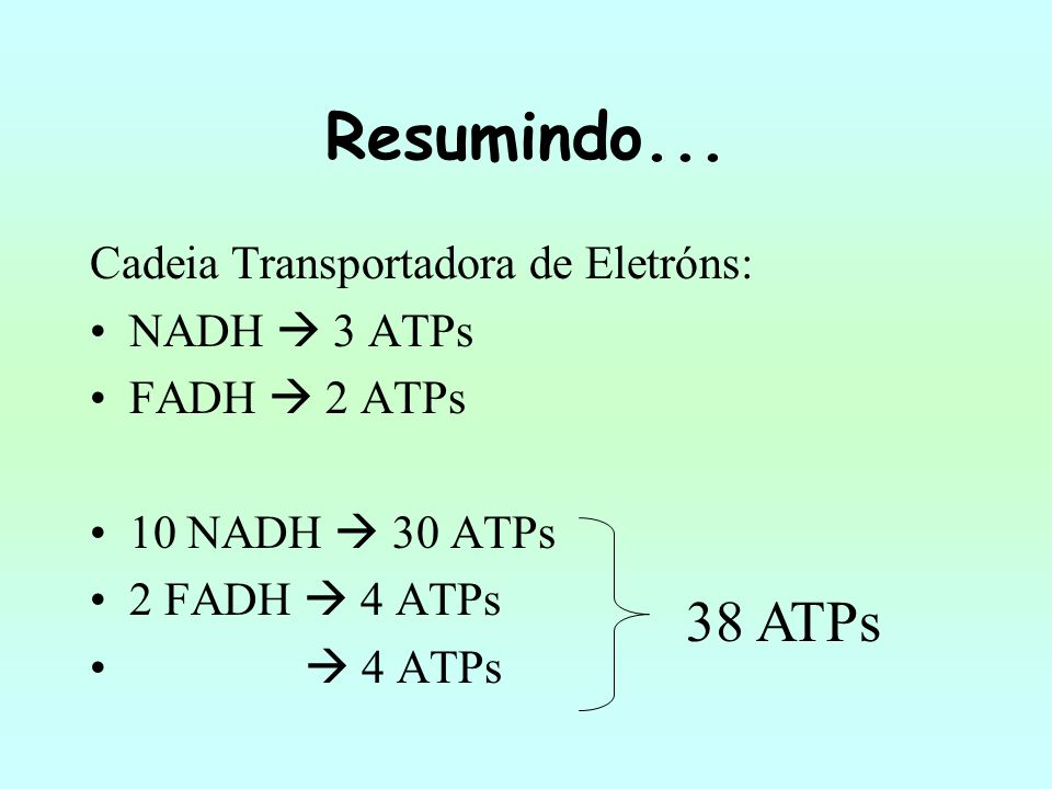 Resumindo ATPs Cadeia Transportadora de Eletróns: NADH  3 ATPs
