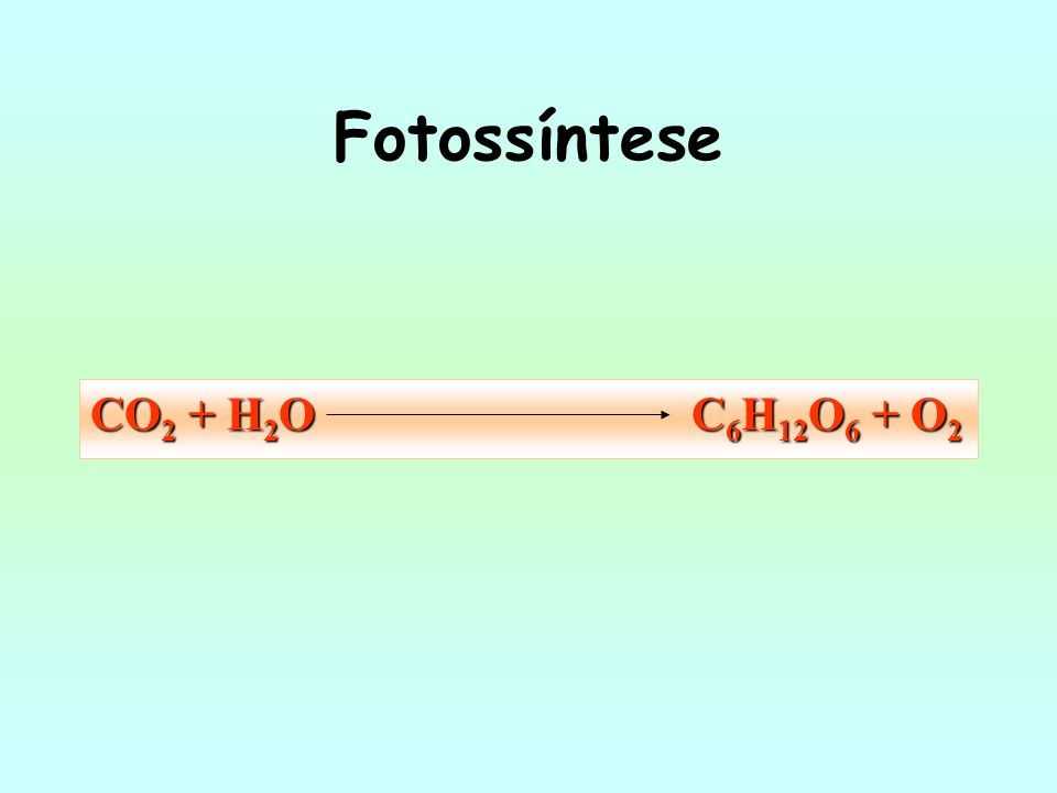 Fotossíntese CO2 + H2O C6H12O6 + O2