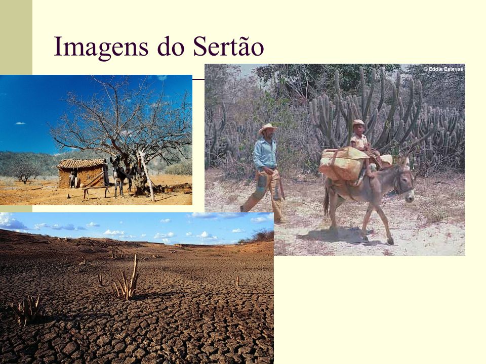 Imagens do Sertão
