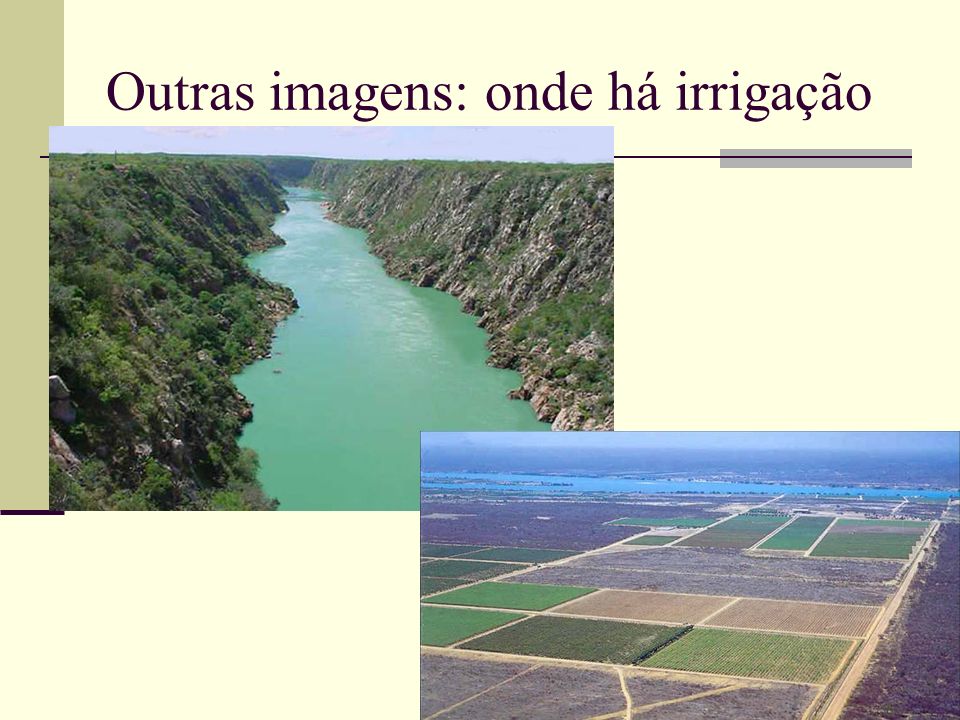 Outras imagens: onde há irrigação
