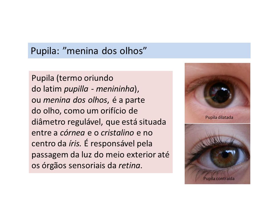 Pupila: menina dos olhos