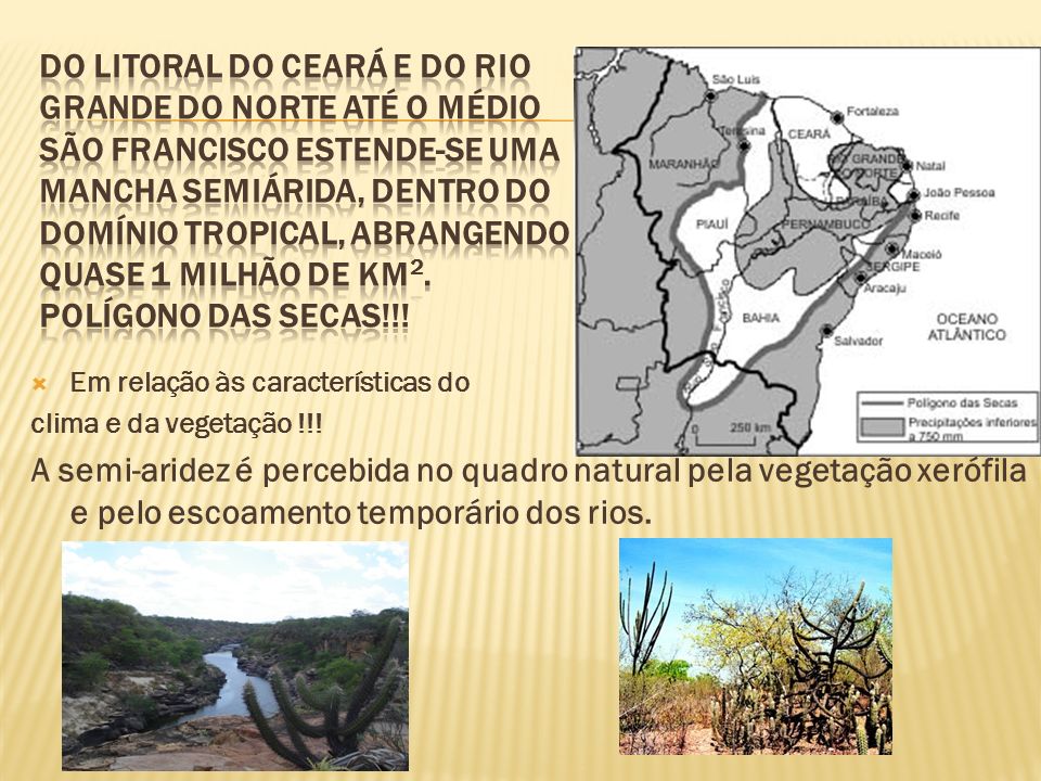 Do litoral do Ceará e do Rio Grande do Norte até o médio São Francisco estende-se uma mancha semiárida, dentro do domínio tropical, abrangendo quase 1 milhão de km2. Polígono das secas!!!