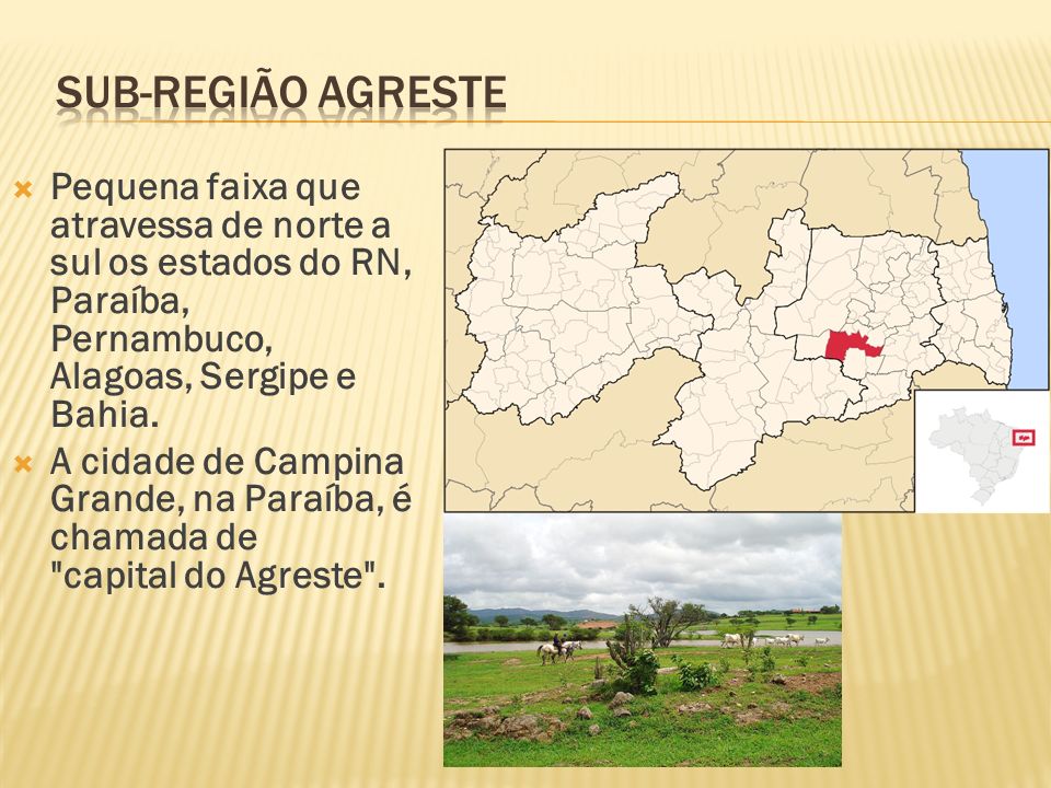 Sub-região Agreste Pequena faixa que atravessa de norte a sul os estados do RN, Paraíba, Pernambuco, Alagoas, Sergipe e Bahia.