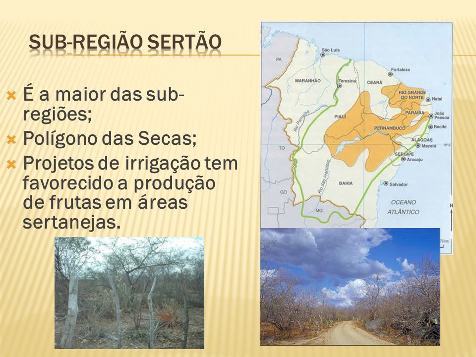 Sub-região Sertão É a maior das sub-regiões; Polígono das Secas;