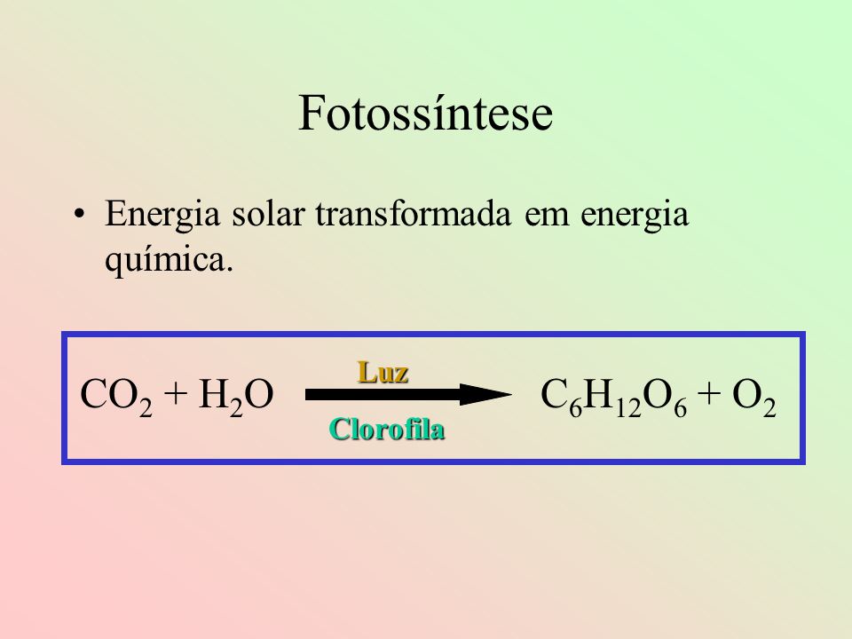 Fotossíntese CO2 + H2O C6H12O6 + O2