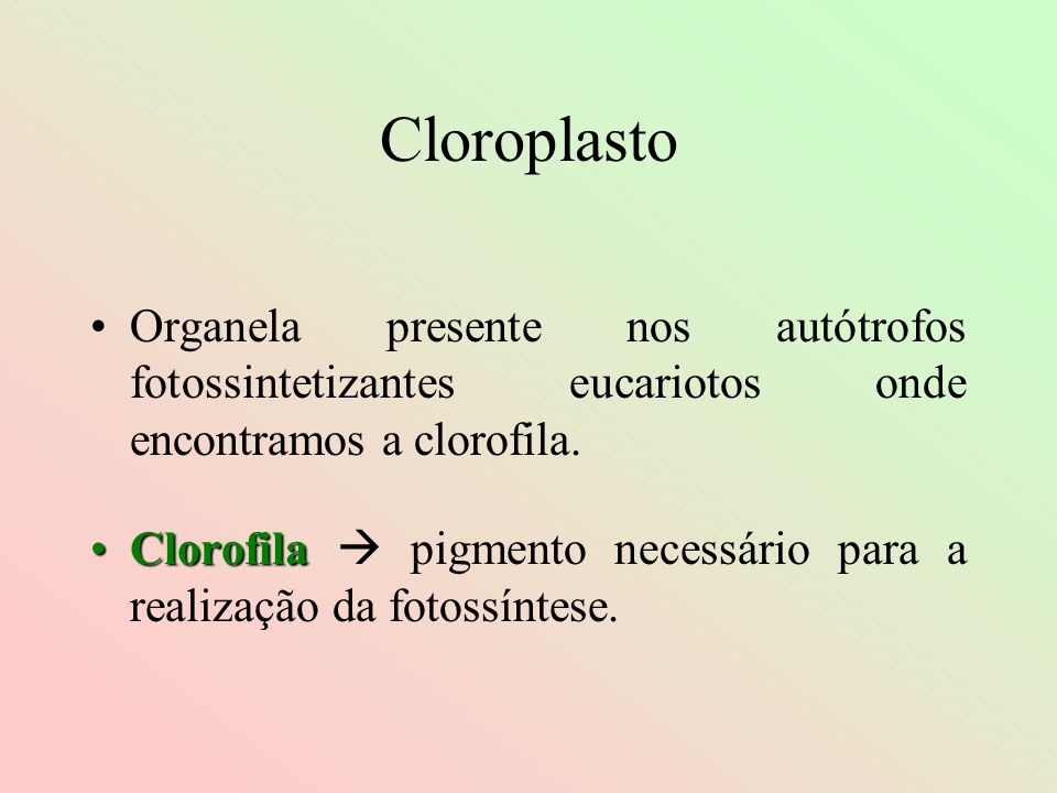 Cloroplasto Organela presente nos autótrofos fotossintetizantes eucariotos onde encontramos a clorofila.