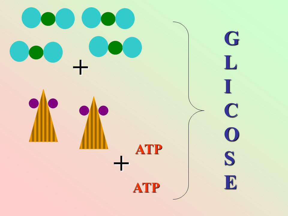 GLICOSE + ATP + ATP
