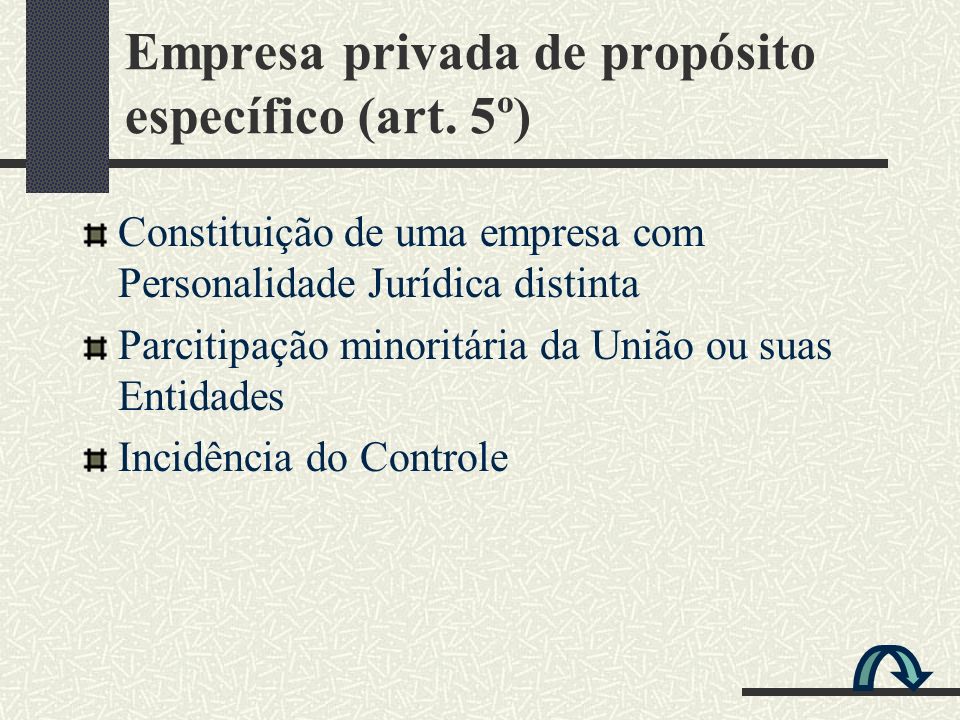 Empresa privada de propósito específico (art. 5º)
