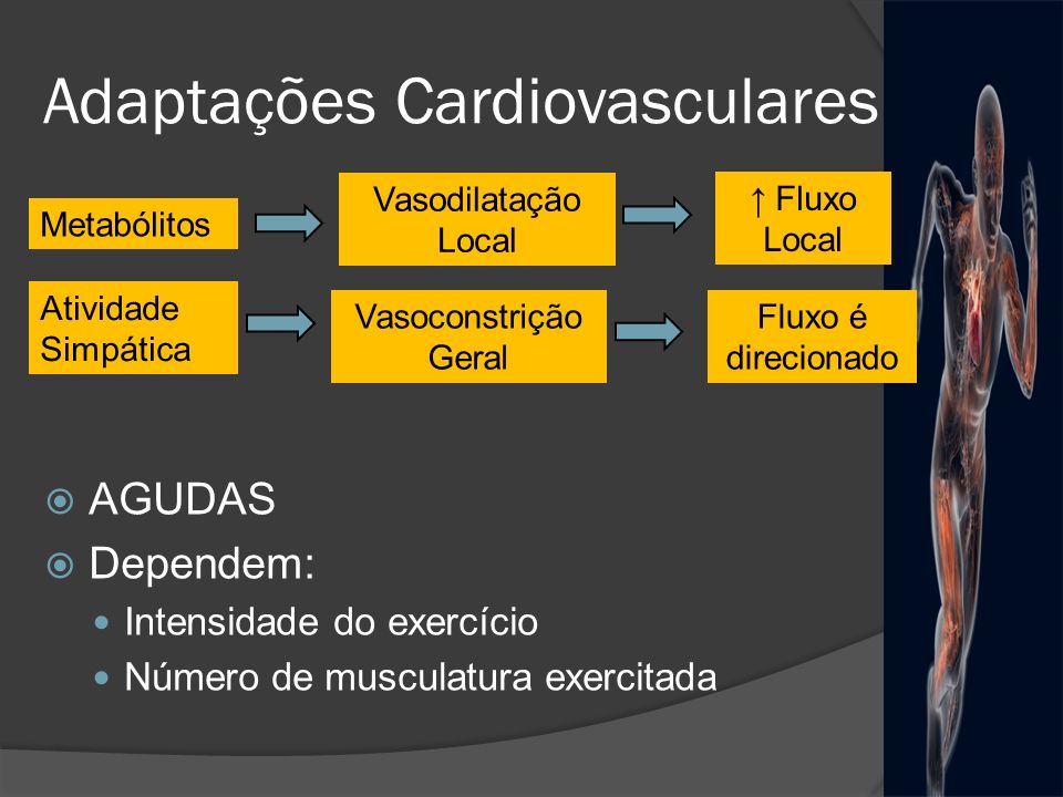 Adaptações Cardiovasculares
