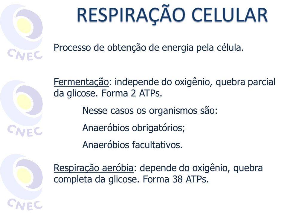 RESPIRAÇÃO CELULAR Processo de obtenção de energia pela célula.