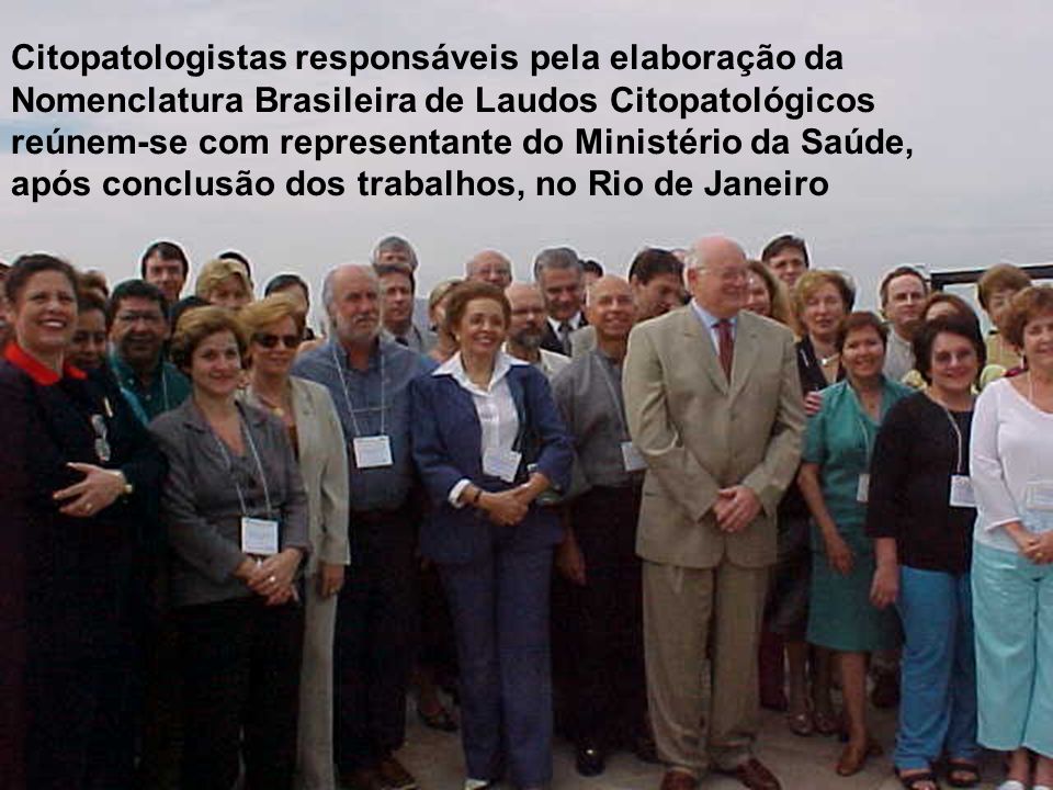 Citopatologistas responsáveis pela elaboração da Nomenclatura Brasileira de Laudos Citopatológicos reúnem-se com representante do Ministério da Saúde, após conclusão dos trabalhos, no Rio de Janeiro