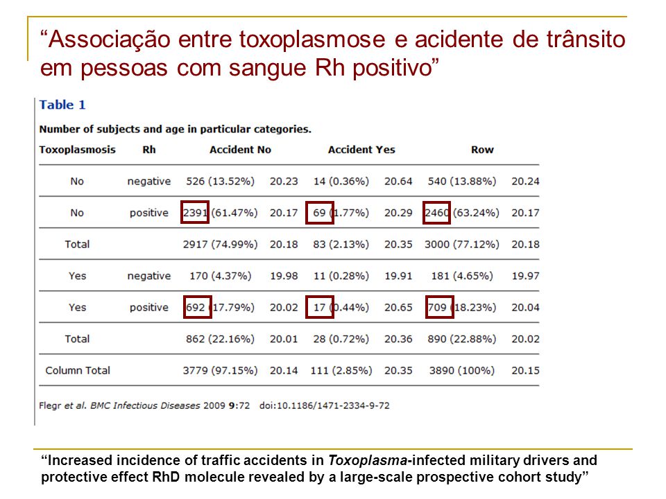 Associação entre toxoplasmose e acidente de trânsito em pessoas com sangue Rh positivo
