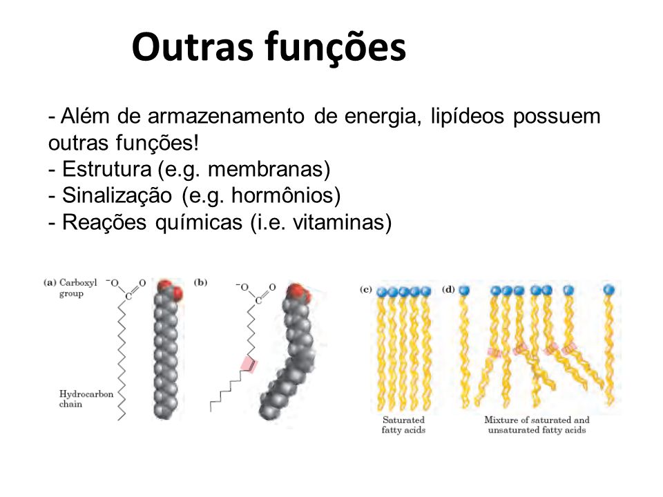 Outras funções Além de armazenamento de energia, lipídeos possuem outras funções! Estrutura (e.g. membranas)