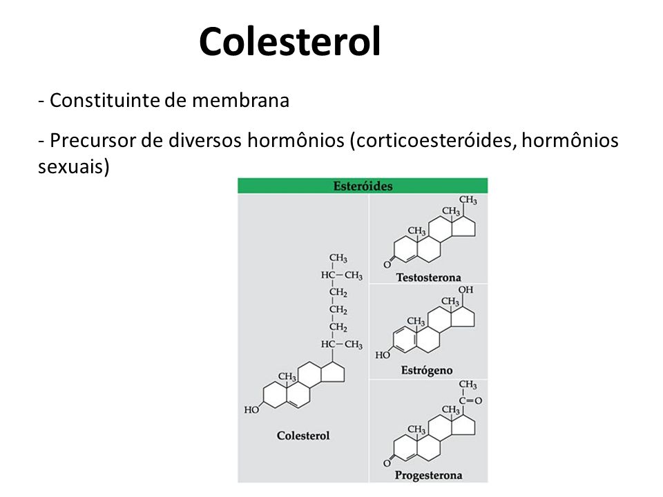 Colesterol Constituinte de membrana
