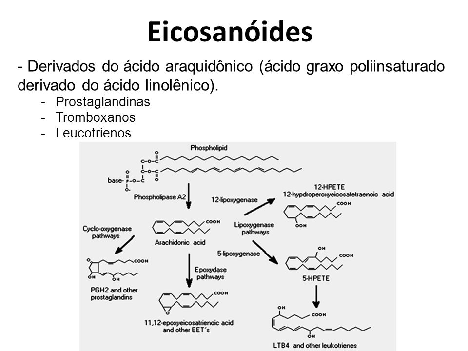 Eicosanóides Derivados do ácido araquidônico (ácido graxo poliinsaturado derivado do ácido linolênico).
