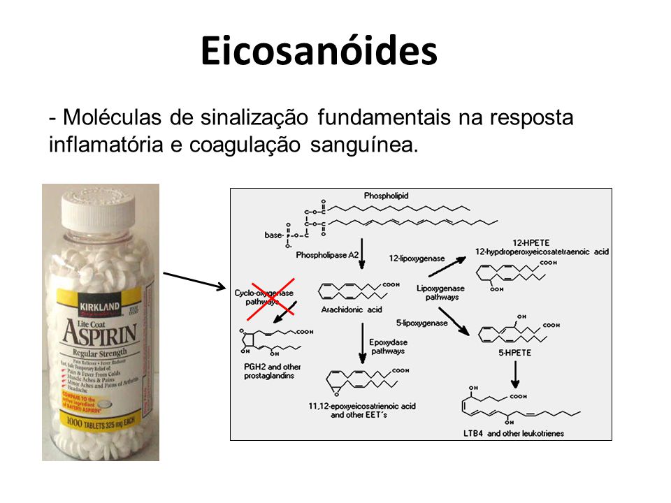 Eicosanóides Moléculas de sinalização fundamentais na resposta inflamatória e coagulação sanguínea.