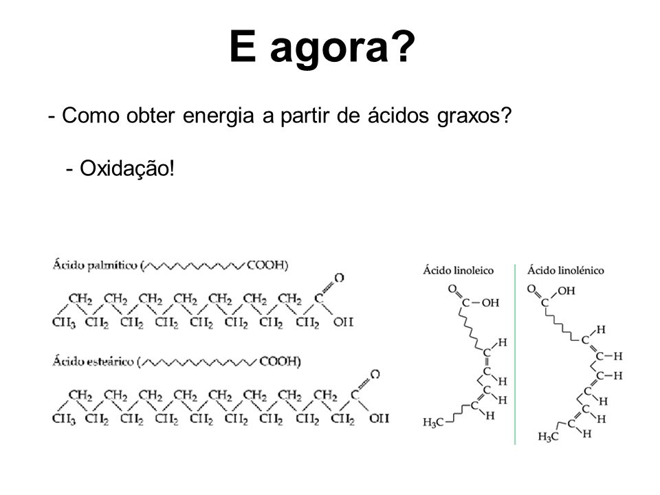 E agora Como obter energia a partir de ácidos graxos - Oxidação!
