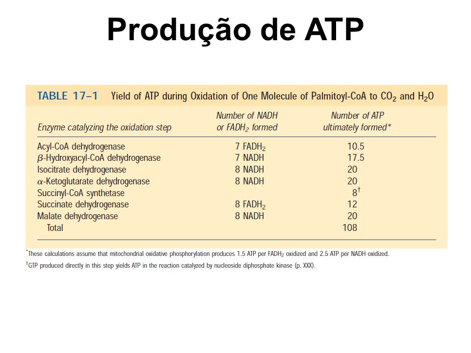 Produção de ATP