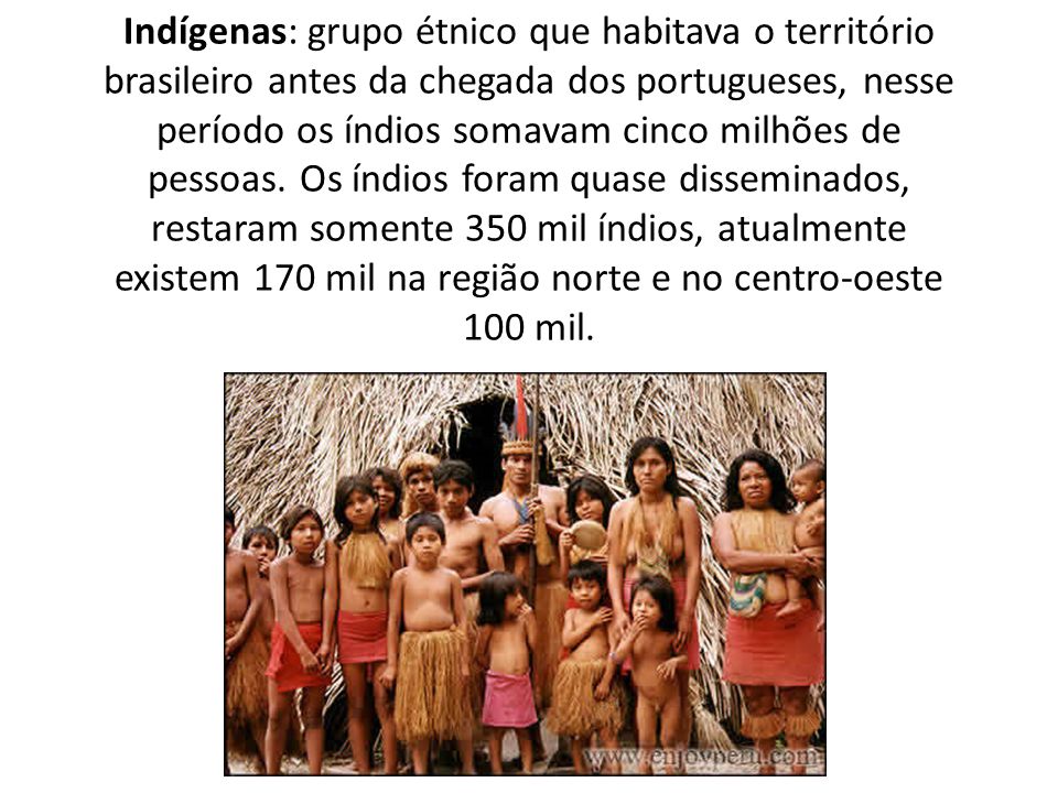 Indígenas: grupo étnico que habitava o território brasileiro antes da chegada dos portugueses, nesse período os índios somavam cinco milhões de pessoas.