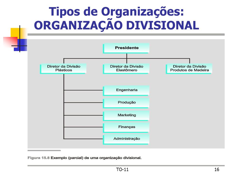 Tipos de Organizações: ORGANIZAÇÃO DIVISIONAL