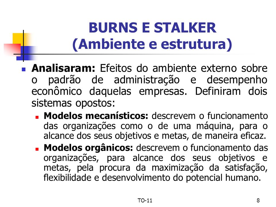 BURNS E STALKER (Ambiente e estrutura)