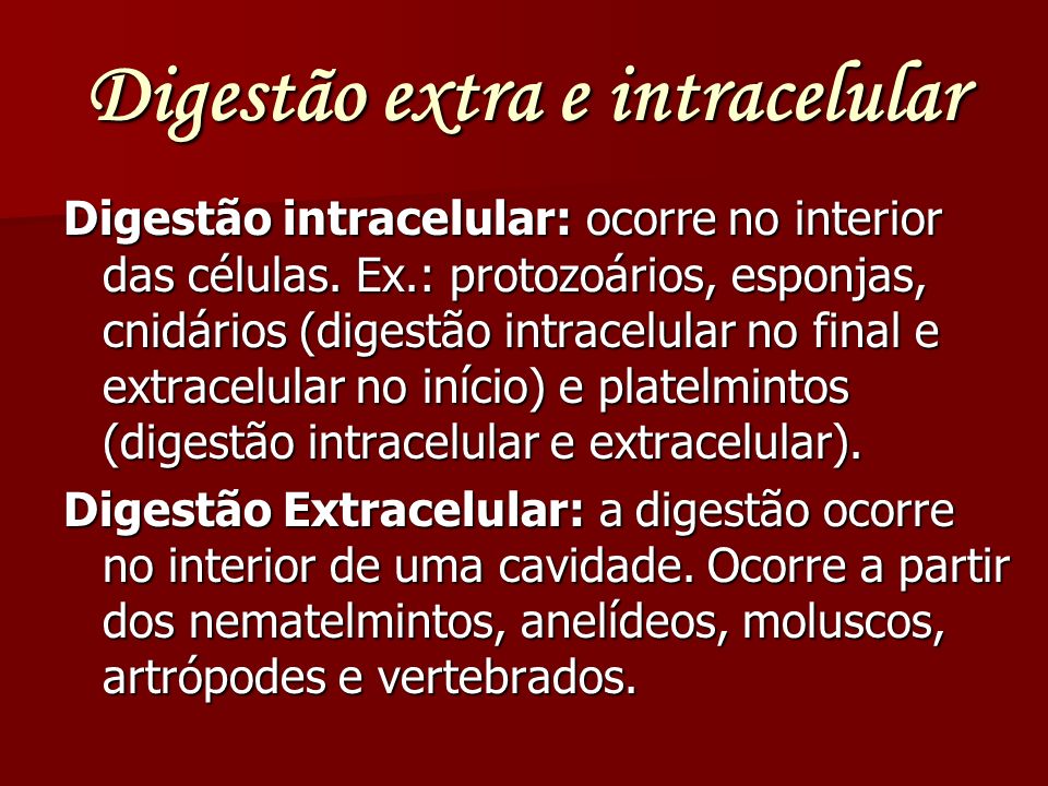 Digestão extra e intracelular