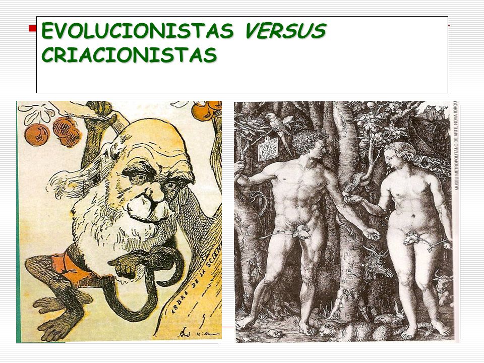 EVOLUCIONISTAS VERSUS CRIACIONISTAS