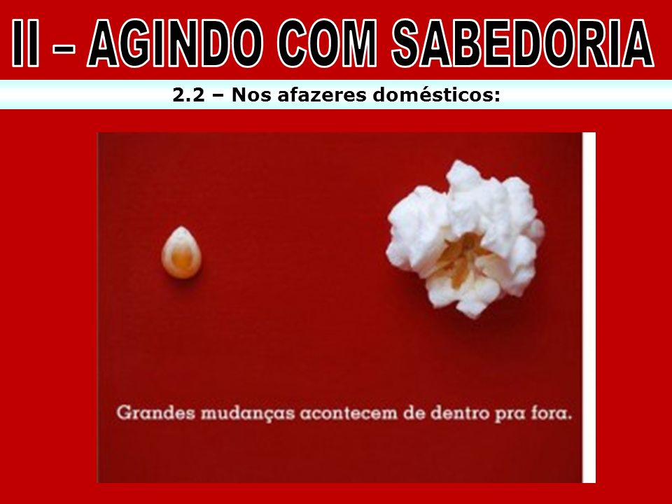 II – AGINDO COM SABEDORIA 2.2 – Nos afazeres domésticos: