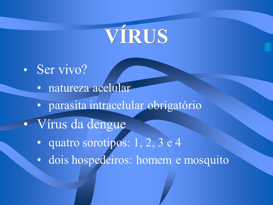 VÍRUS Vírus da dengue Ser vivo natureza acelular