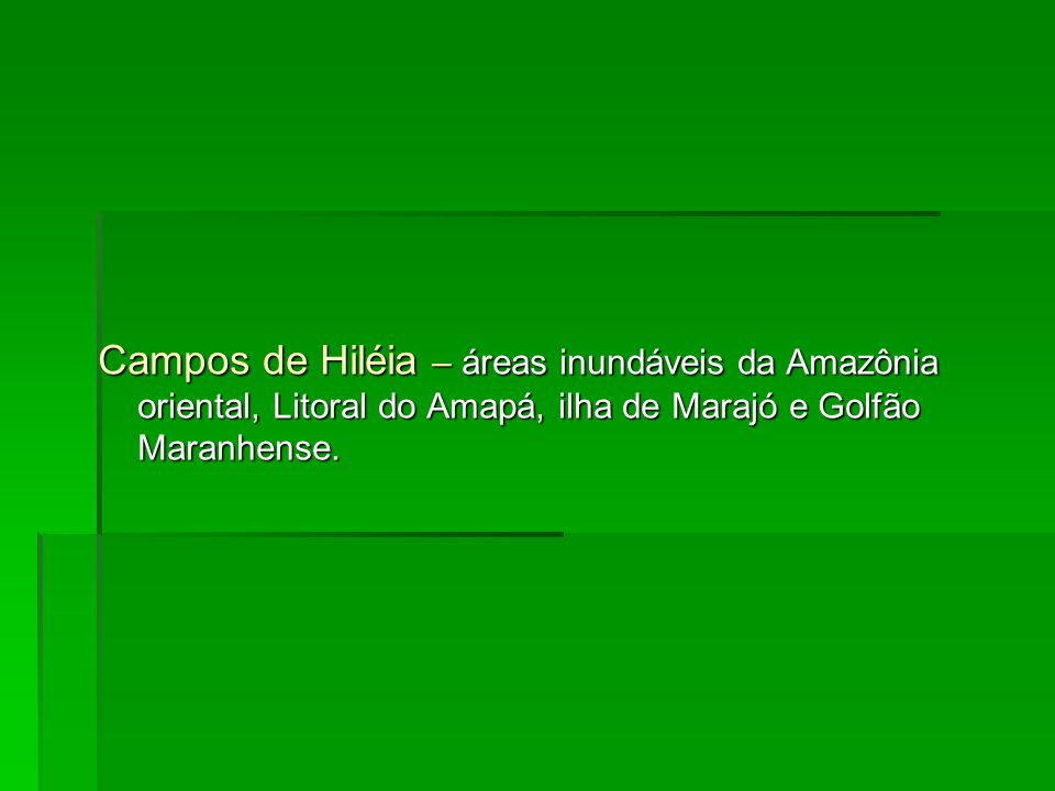 Campos de Hiléia – áreas inundáveis da Amazônia oriental, Litoral do Amapá, ilha de Marajó e Golfão Maranhense.