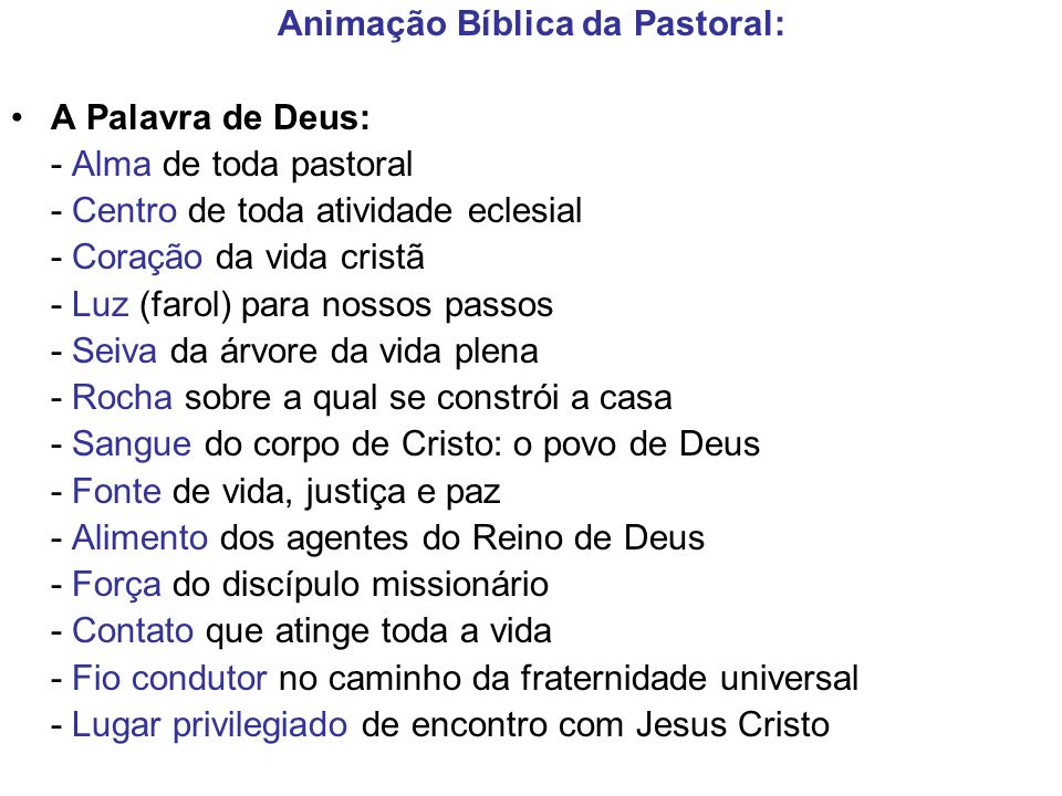 Animação Bíblica da Pastoral: