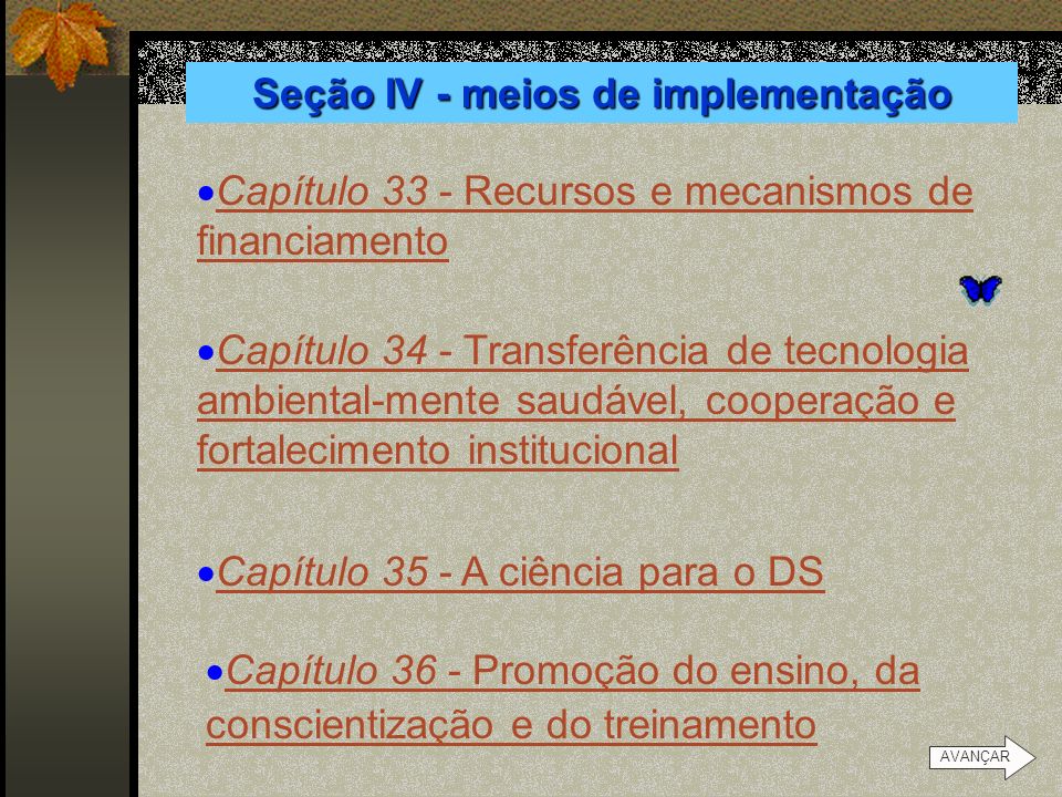 Seção IV - meios de implementação