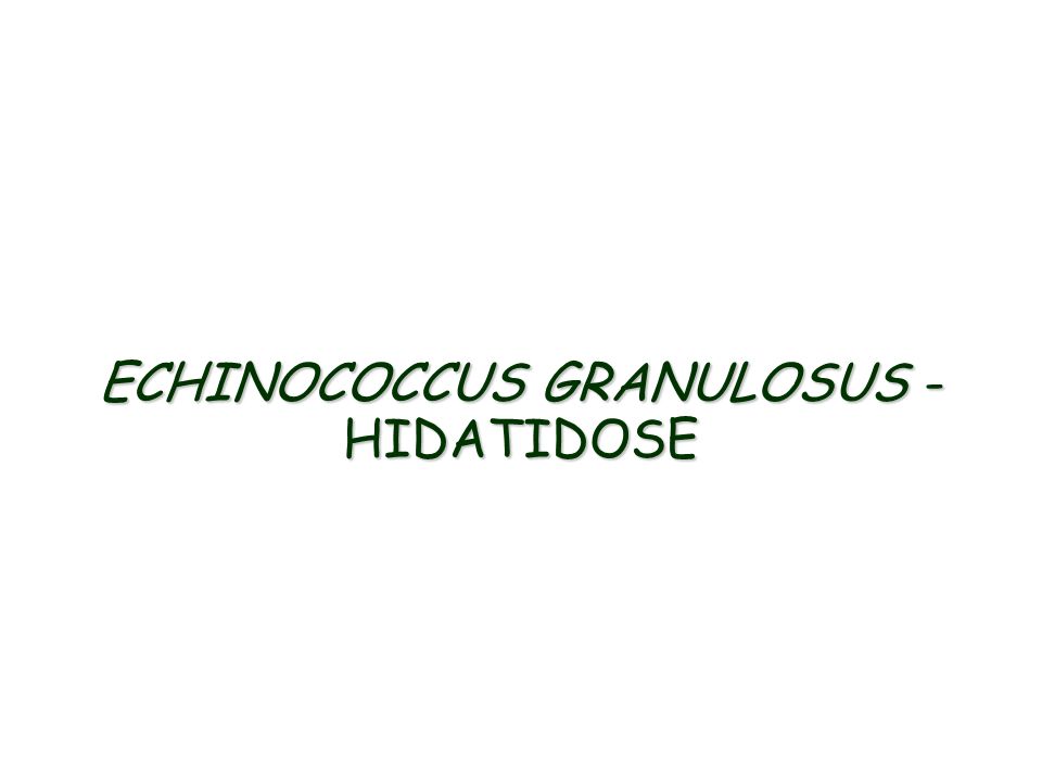ECHINOCOCCUS GRANULOSUS - HIDATIDOSE
