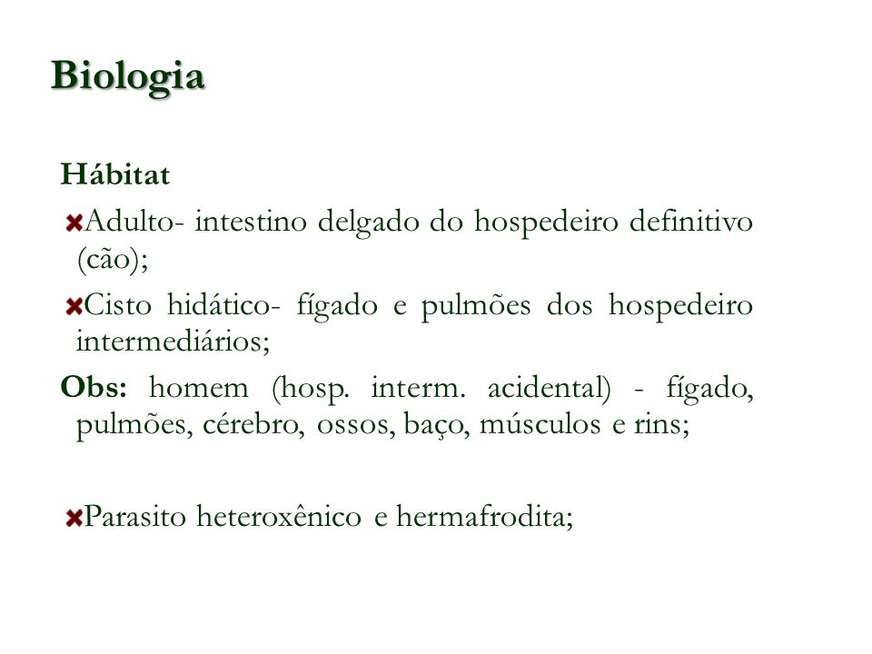 Biologia Hábitat. Adulto- intestino delgado do hospedeiro definitivo (cão); Cisto hidático- fígado e pulmões dos hospedeiro intermediários;