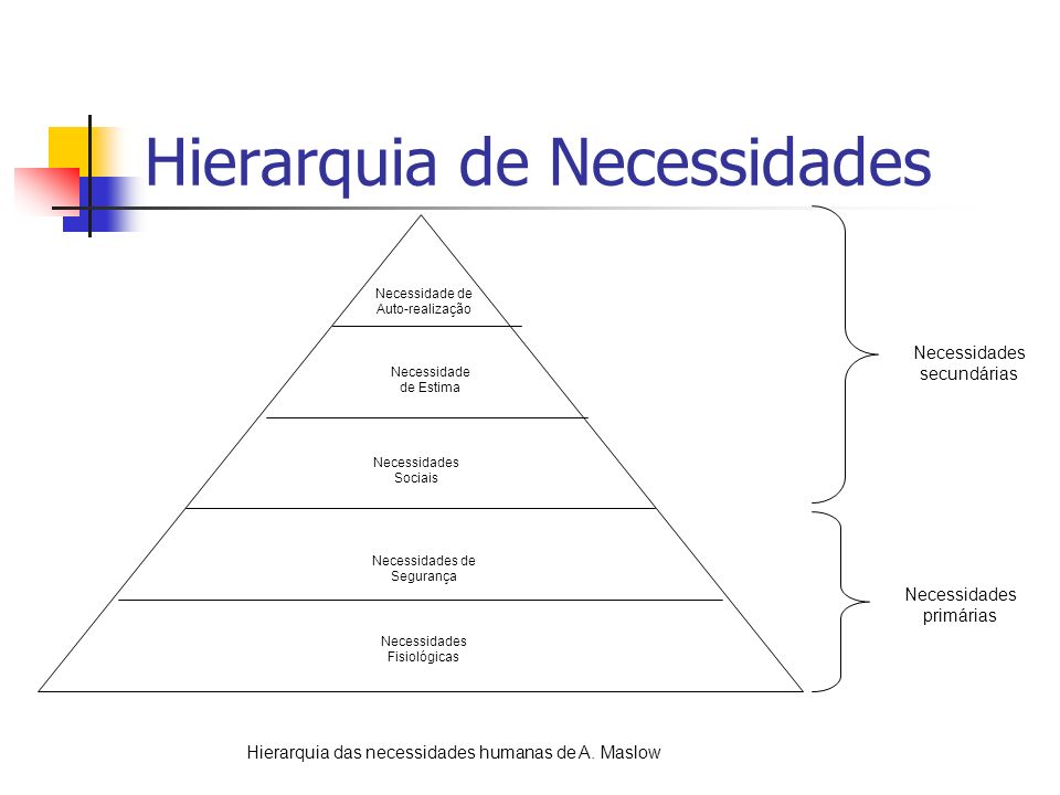 Hierarquia de Necessidades