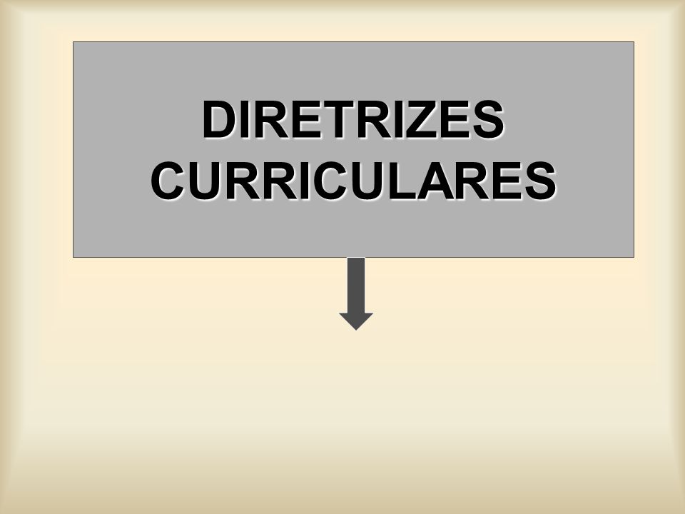 DIRETRIZES CURRICULARES