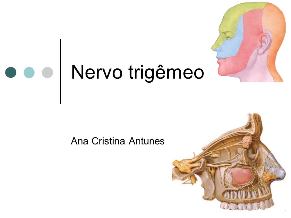 Nervo trigêmeo Ana Cristina Antunes