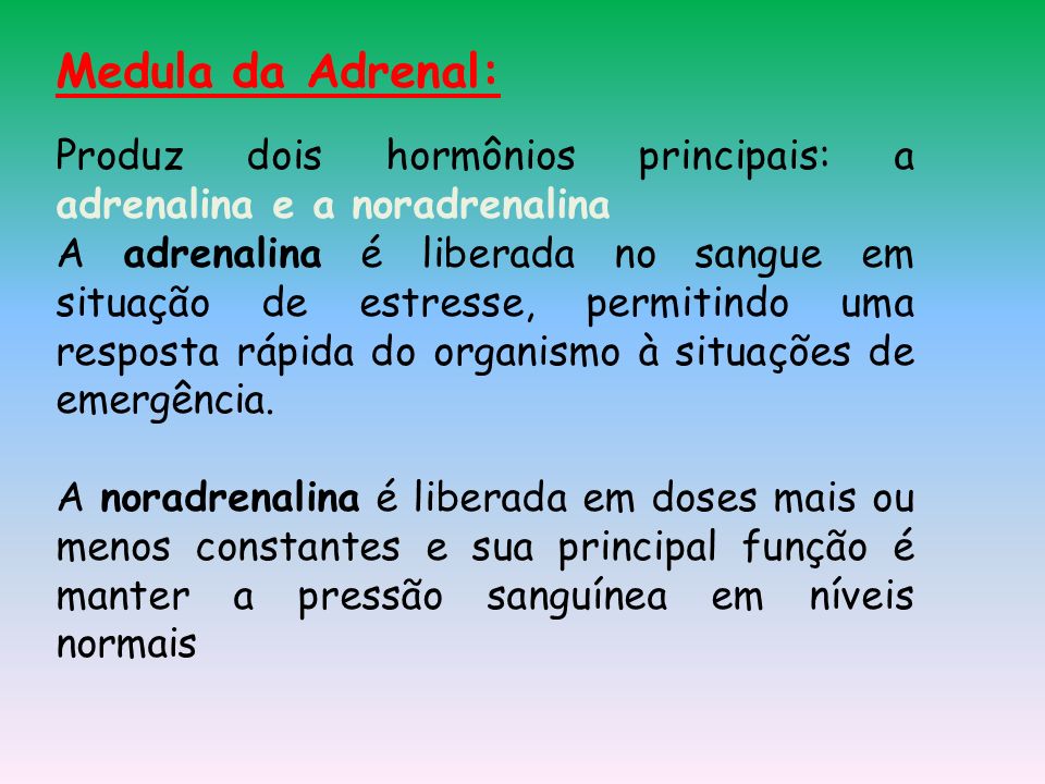 Medula da Adrenal: Produz dois hormônios principais: a adrenalina e a noradrenalina.