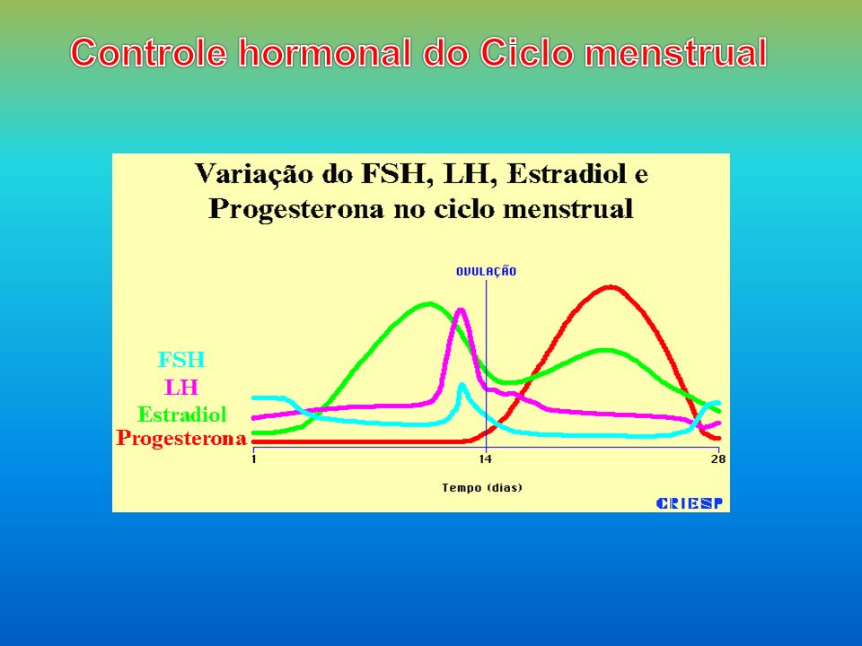 Controle hormonal do Ciclo menstrual