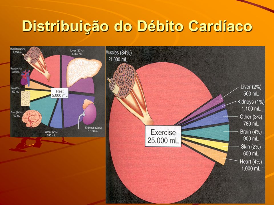 Distribuição do Débito Cardíaco
