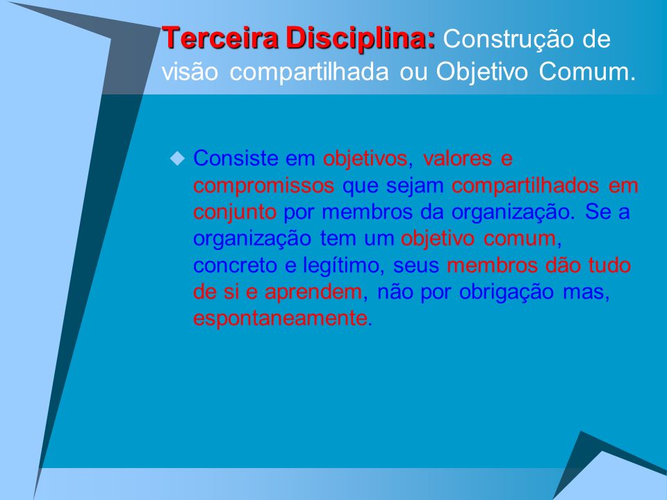 Terceira Disciplina: Construção de visão compartilhada ou Objetivo Comum.