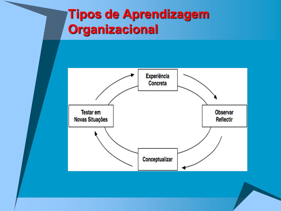 Tipos de Aprendizagem Organizacional