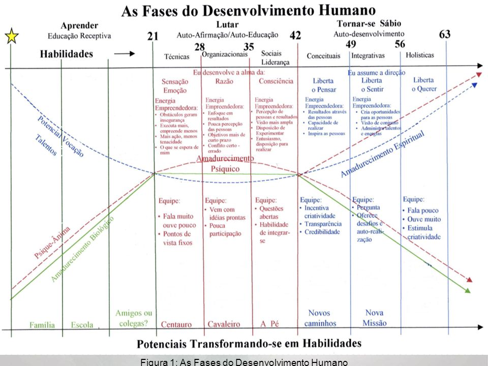 Figura 1: As Fases do Desenvolvimento Humano