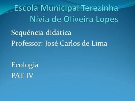 Escola Municipal Terezinha Nívia de Oliveira Lopes